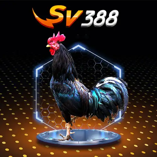 SV388 Cock Fighting Arena 2
