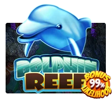 Dolphin Reef